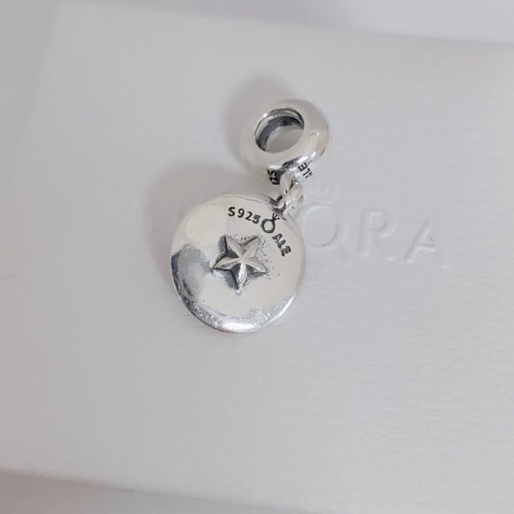 Pandora Chinese Zodiac Pig Dangle Charm S925 Silver with box - Picture 5 of 5